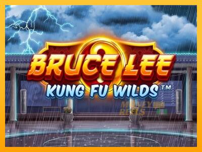 Bruce Lee Kung Fu Wilds - mesin permainan