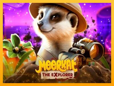 Meerkat - mesin permainan