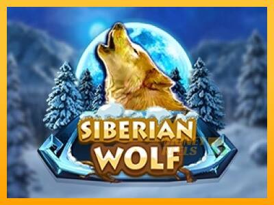 Siberian Wolf - mesin permainan