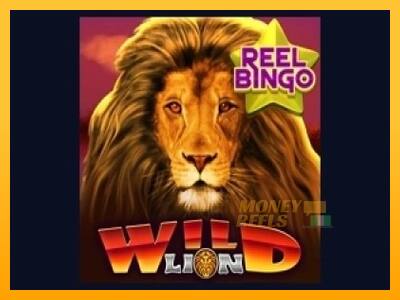 Wild Lion with Reel Bingo - mesin permainan